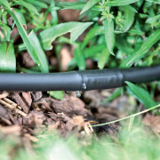 Шланг 1/2' 50 м капельный