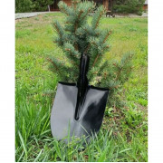 Трап Fachmann 122 x 122 мм T 520.0 SHsP г/затвор, гориз. выпуск 50, нерж. сталь